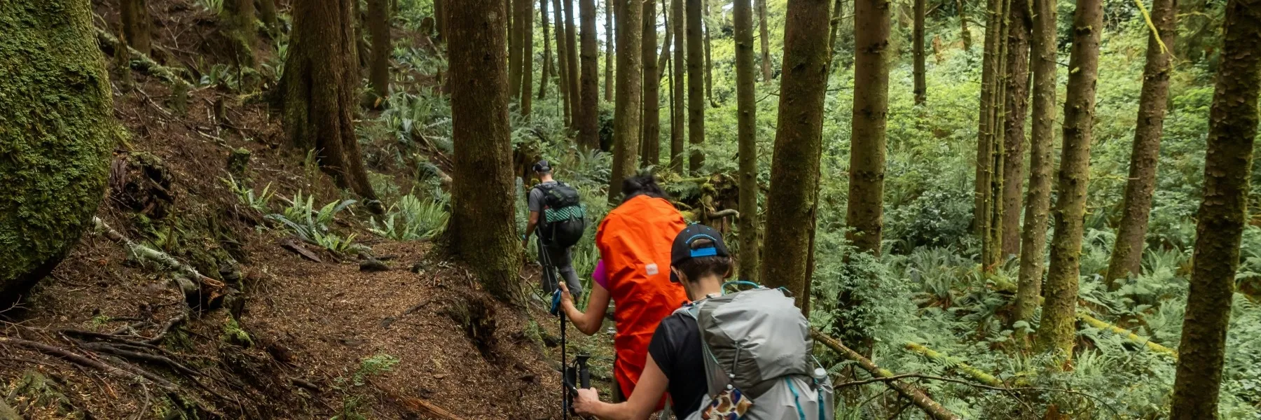 Vancouver Hiking Highlights Tour in Vancouver, BC, CA