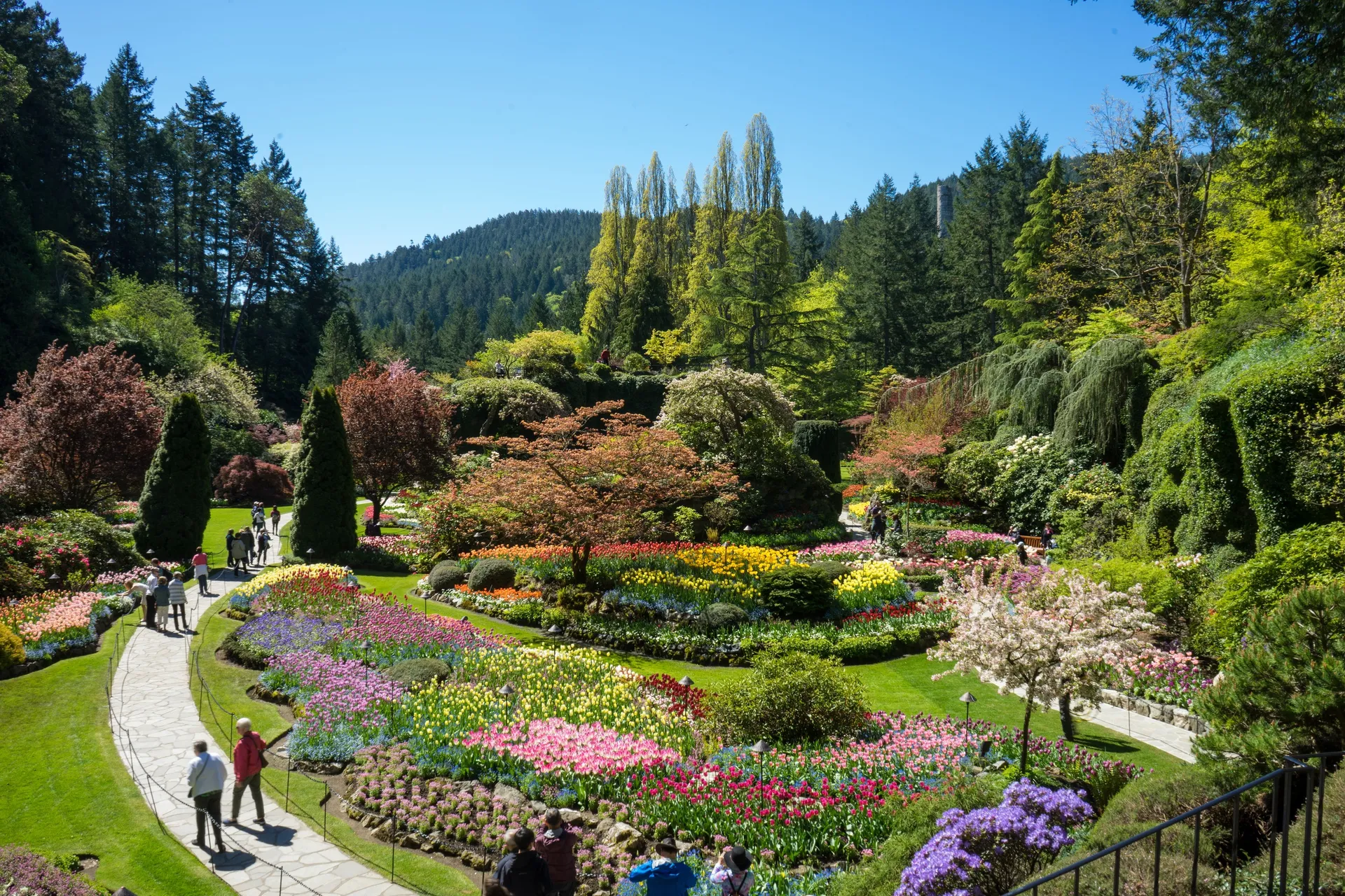 Discover Victoria & Butchart Gardens in Vancouver, BC, CA