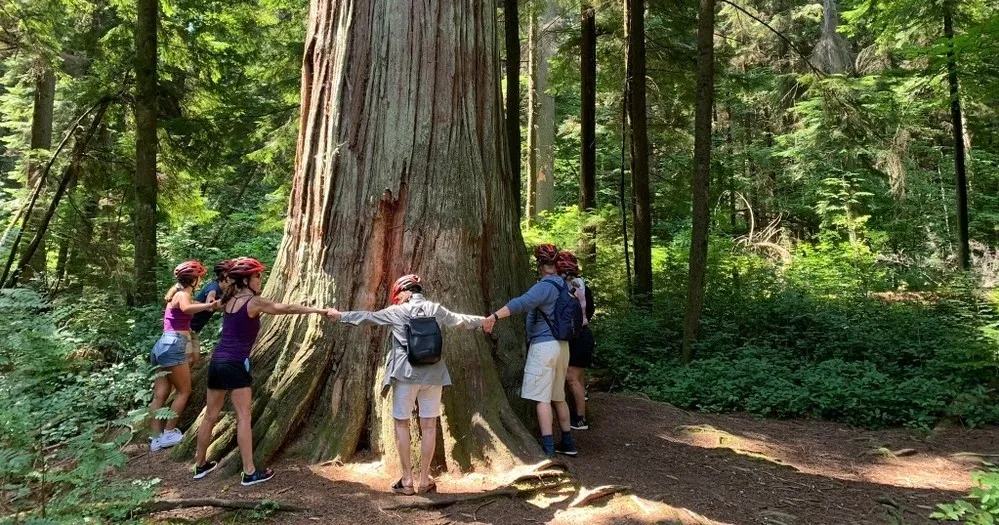 The Stanley Park Bike Tour of Vancouver in Vancouver, BC, CA
