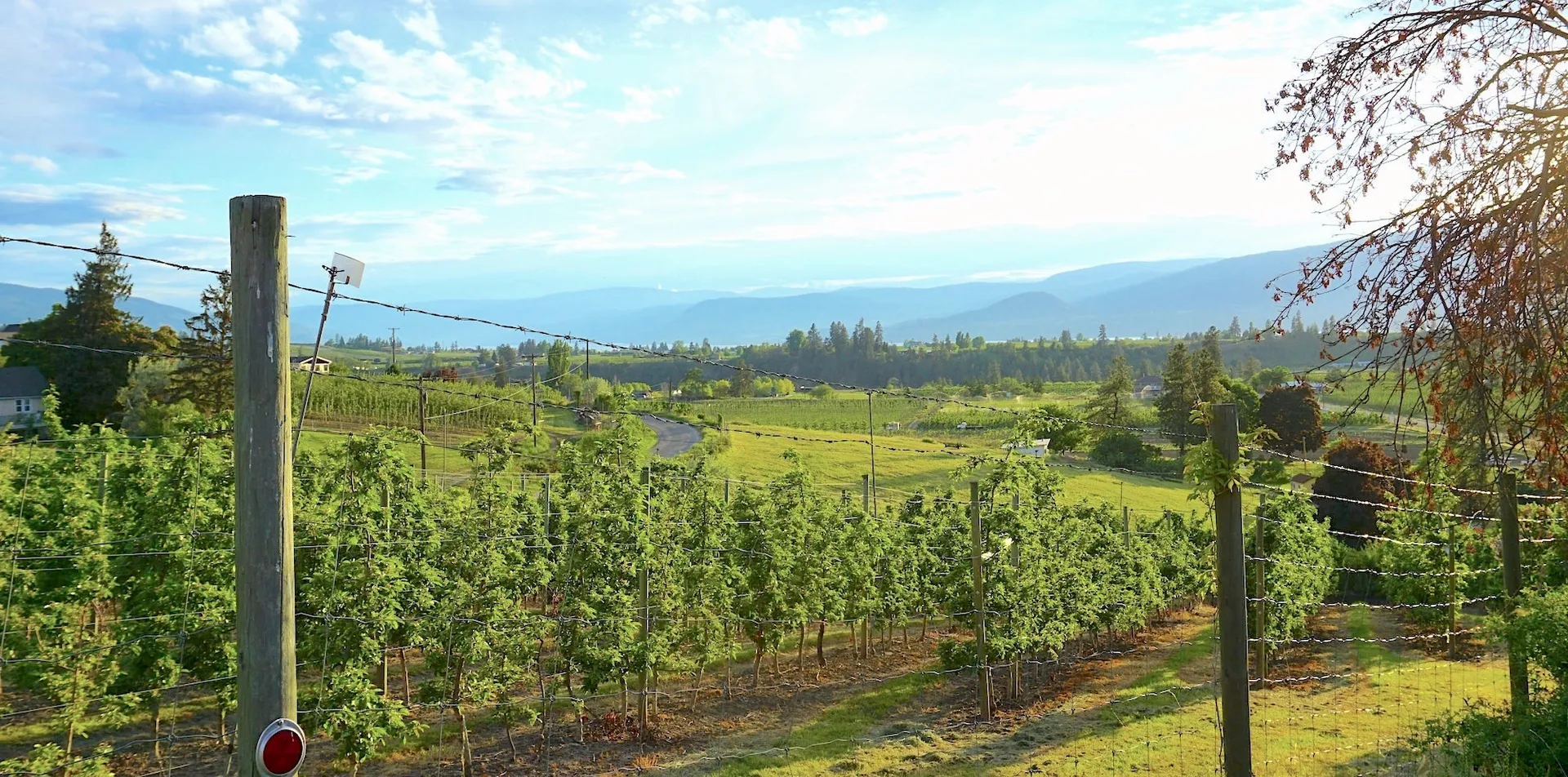 Fraser Valley Wine Tour in Vancouver, BC, CA